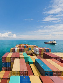 we export onions around the world